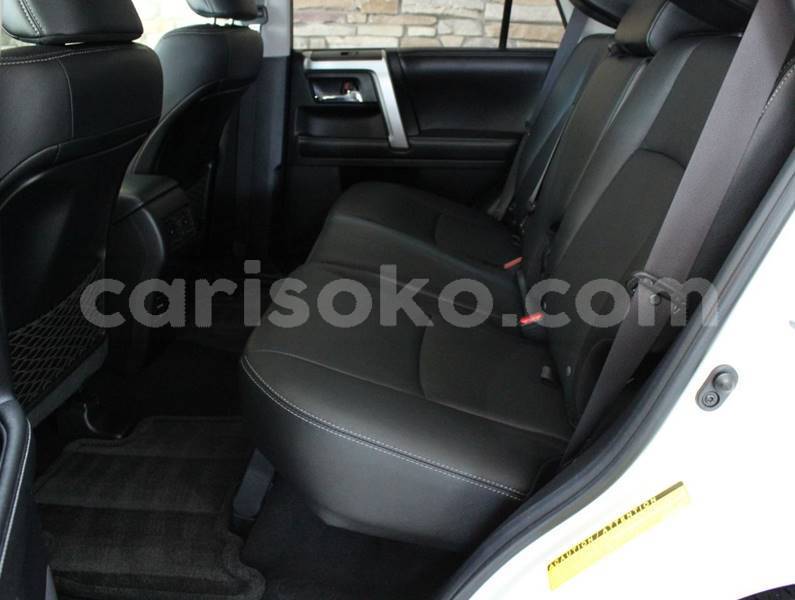 Big with watermark f11