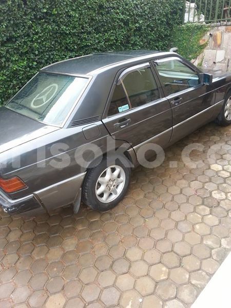 Big with watermark 30629329 194112211393369 244064733525704704 n