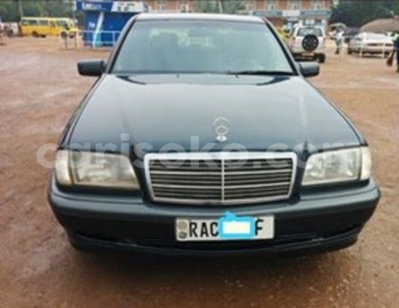 Big with watermark 30629329 194112211393369 244064733525704704 n