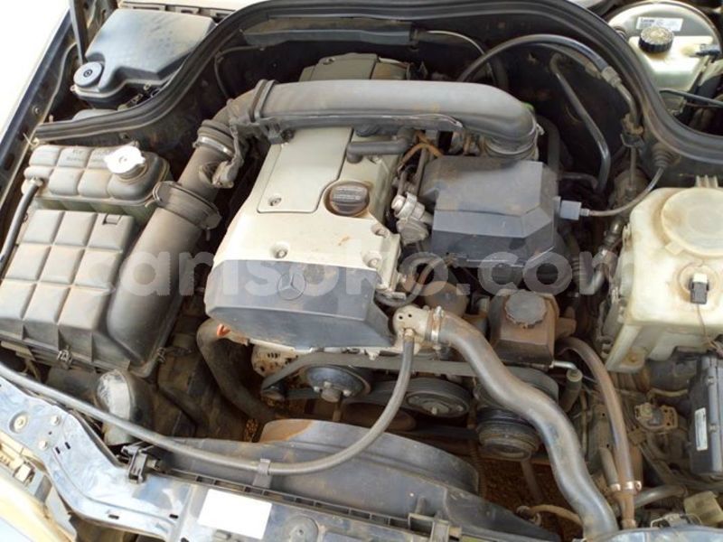 Big with watermark 30705011 1080215435450894 1812932972978896896 n