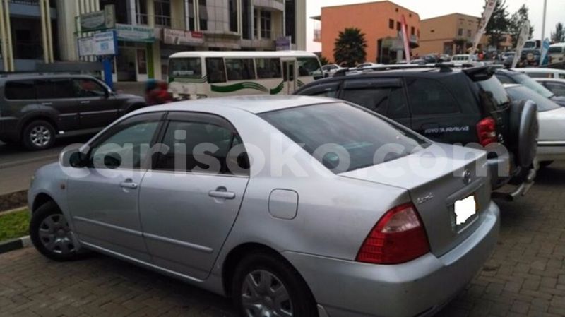 Big with watermark 4