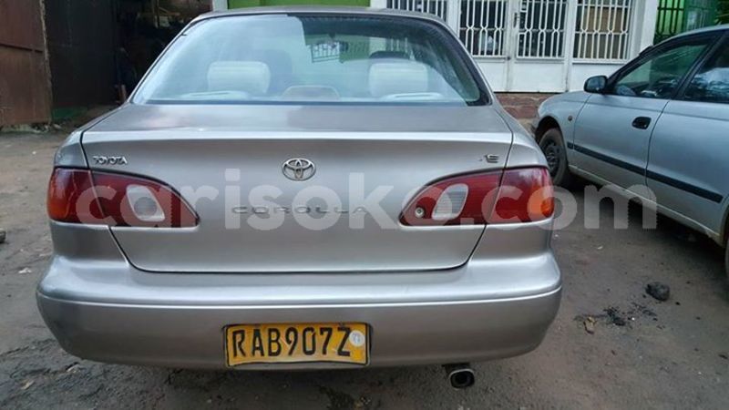 Big with watermark 30623955 578122035882356 6857030771144654848 n