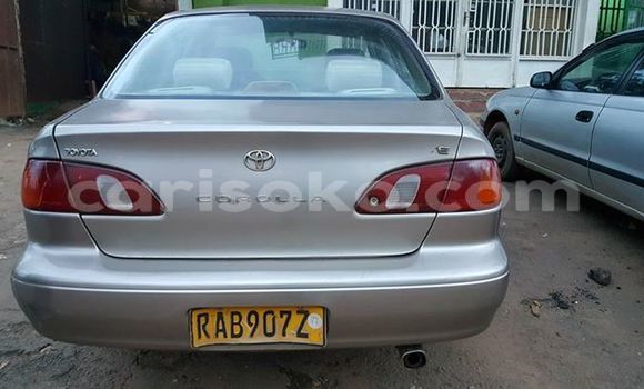 Acheter Occasion Voiture Toyota Corolla Gris à Kigali au Rwanda Acheter Occasion Voiture Toyota Corolla Gris à Kigali au Rwanda