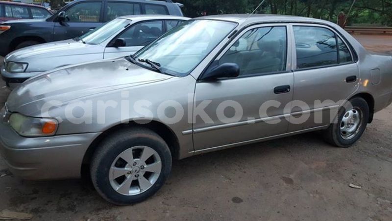 Big with watermark 30629329 194112211393369 244064733525704704 n