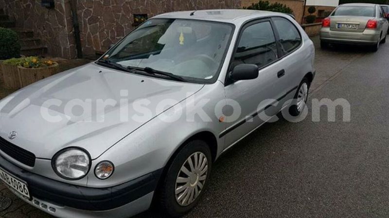 Big with watermark 30629329 194112211393369 244064733525704704 n