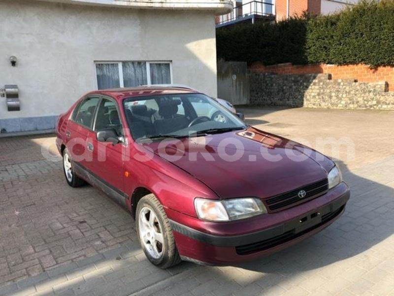 Big with watermark f2