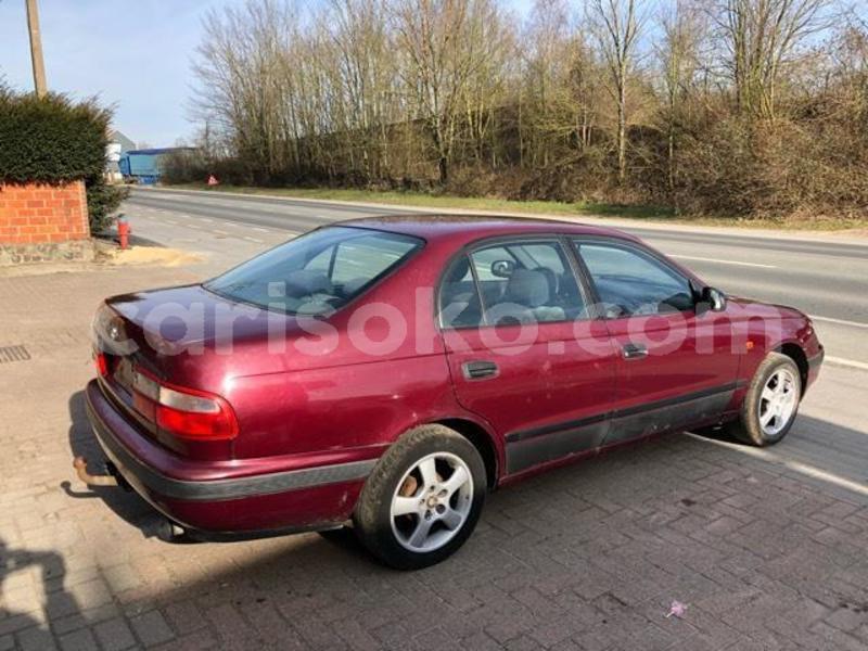 Big with watermark f5