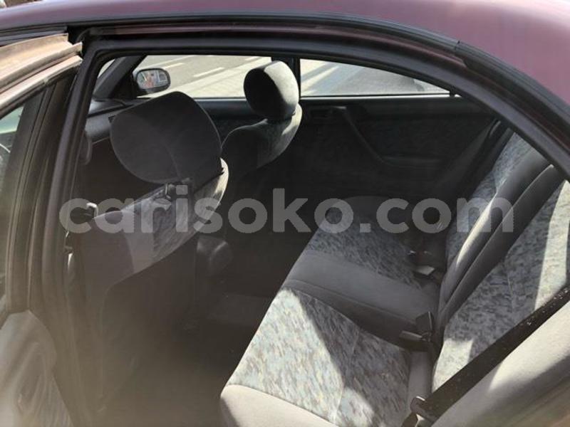 Big with watermark f6