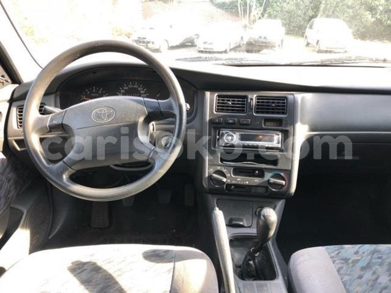 Big with watermark f7