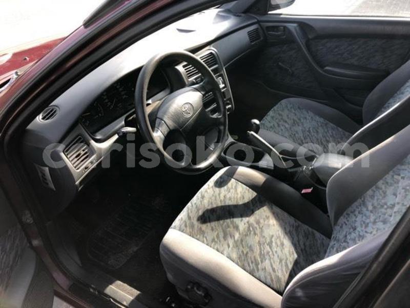 Big with watermark f8