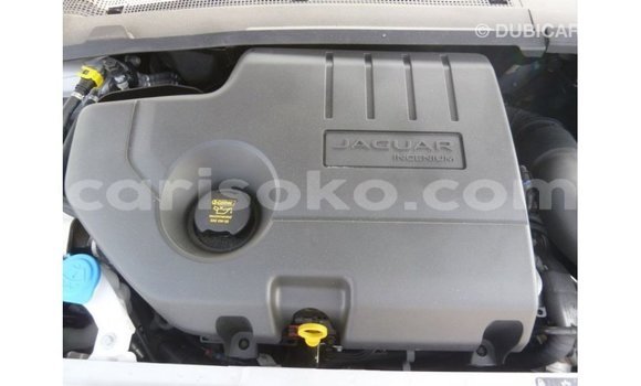 Acheter Import Voiture Jaguar E-Pace Blanc à Import - Dubai, Rwanda Acheter Import Voiture Jaguar E-Pace Blanc à Import - Dubai, Rwanda