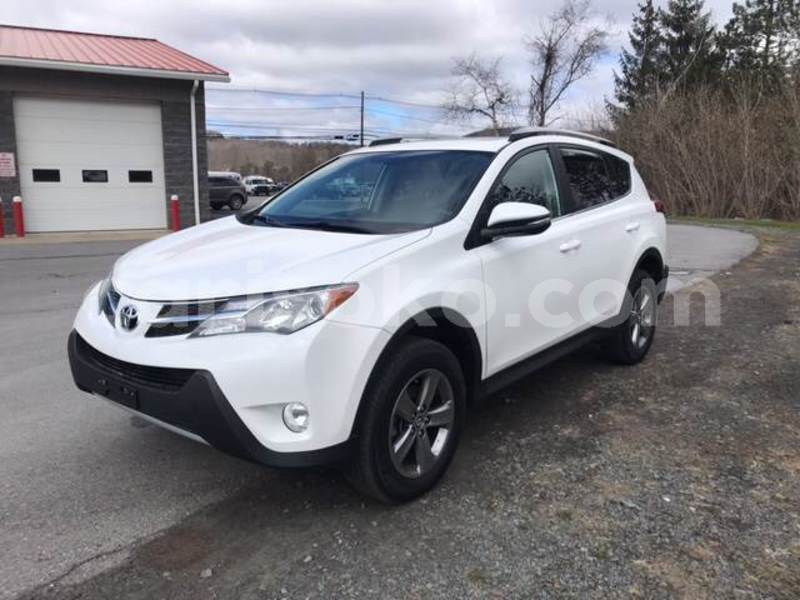 Big with watermark k3