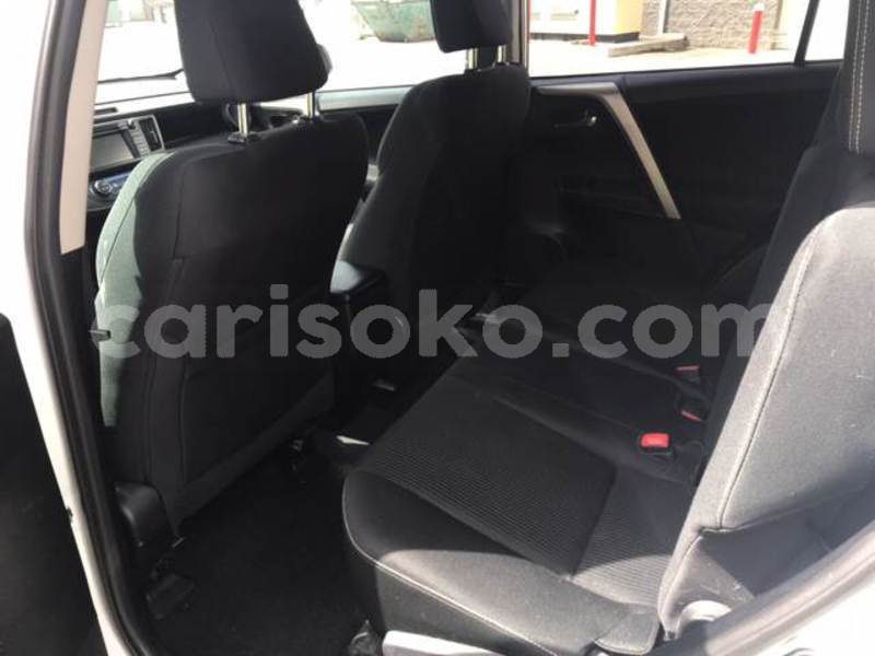 Big with watermark k11