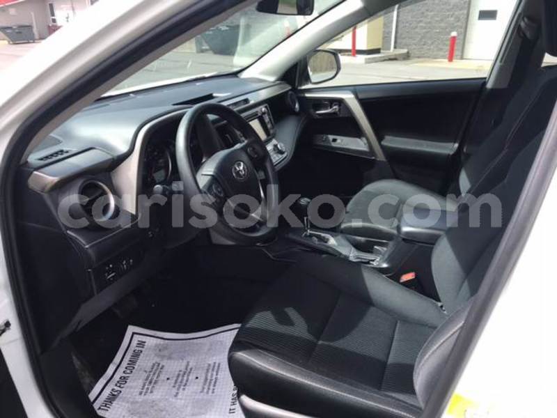 Big with watermark k12