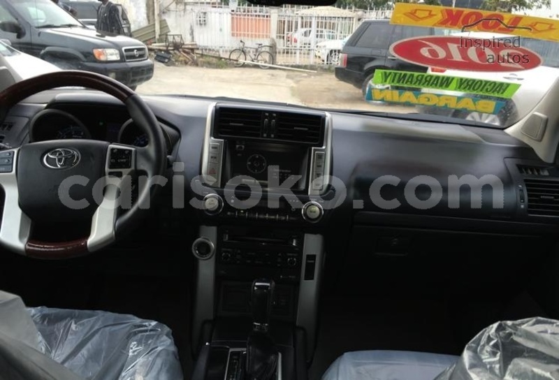 Big with watermark n6