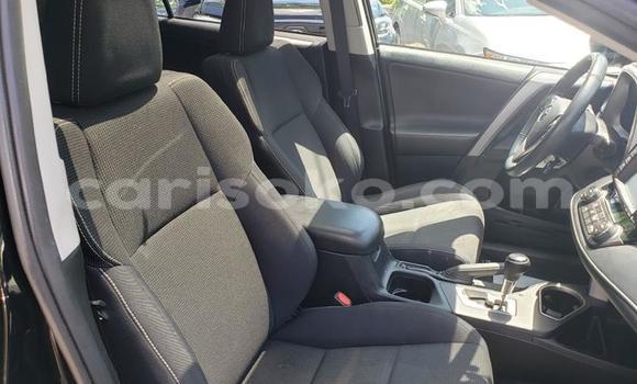 Buy Import Toyota RAV4 Beige Car in Kigali in Rwanda Buy Import Toyota RAV4 Beige Car in Kigali in Rwanda