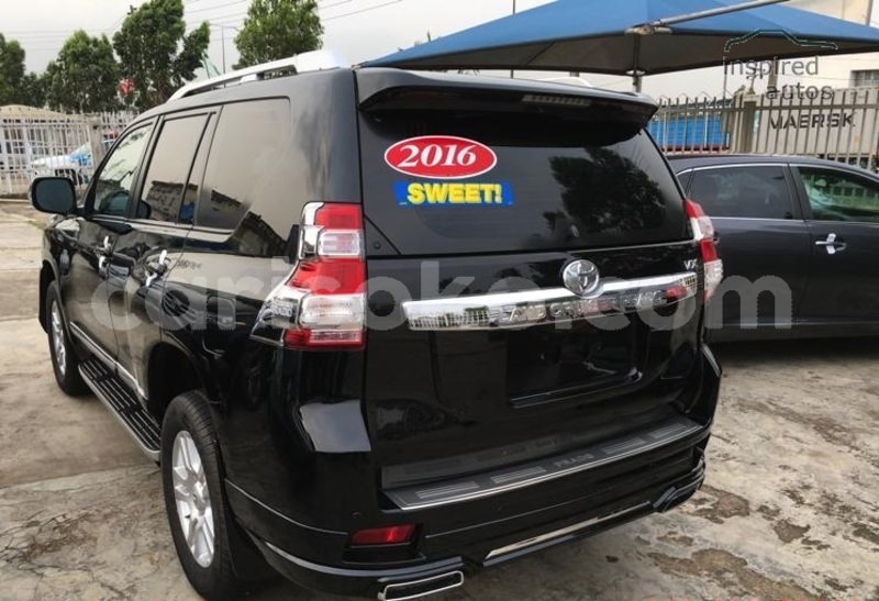 Big with watermark n12