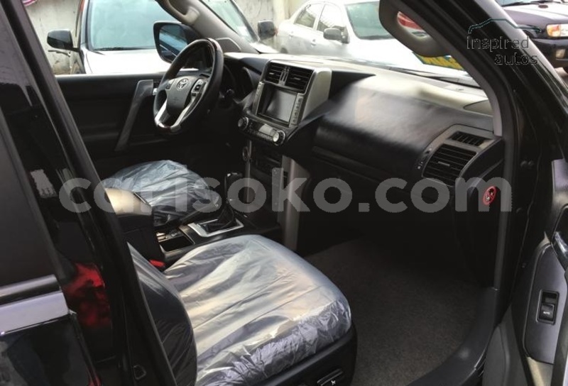 Big with watermark n13