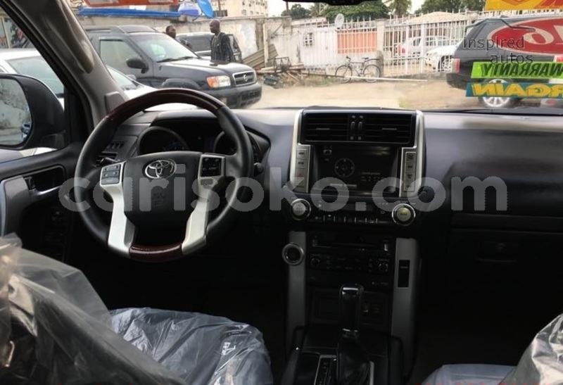 Big with watermark n15