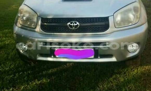 Acheter Occasion Voiture Toyota RAV4 Gris à Kigali au Rwanda Acheter Occasion Voiture Toyota RAV4 Gris à Kigali au Rwanda