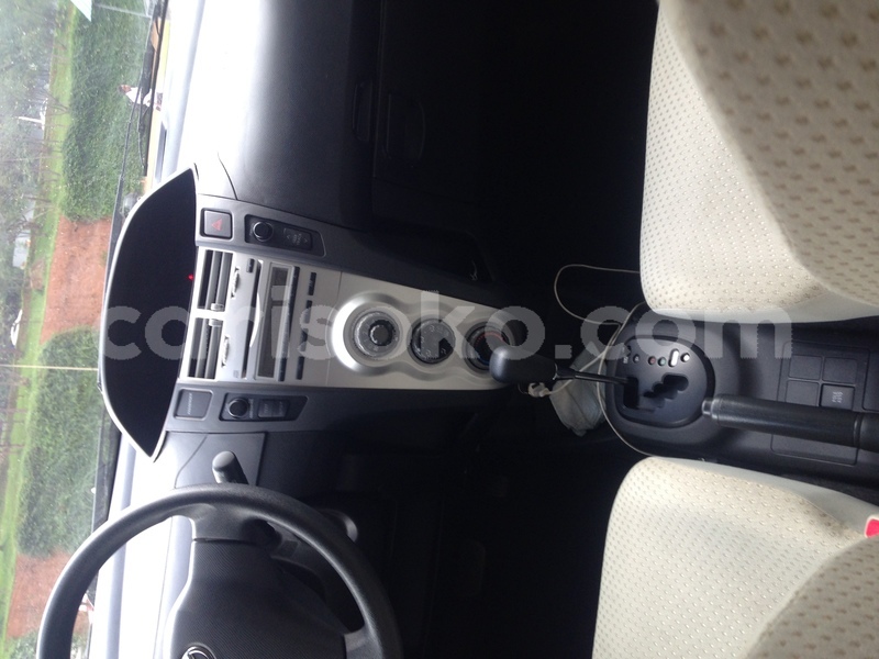 Big with watermark image