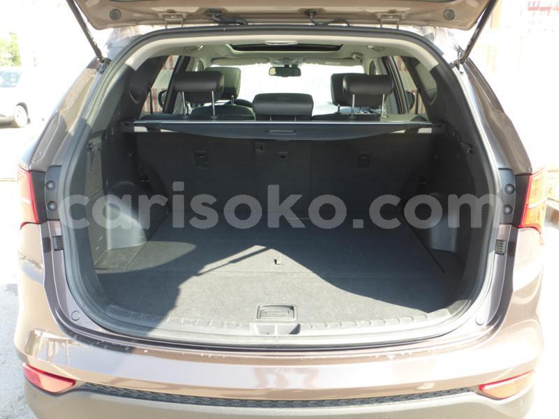 Big with watermark 21528712221096482 15.pic