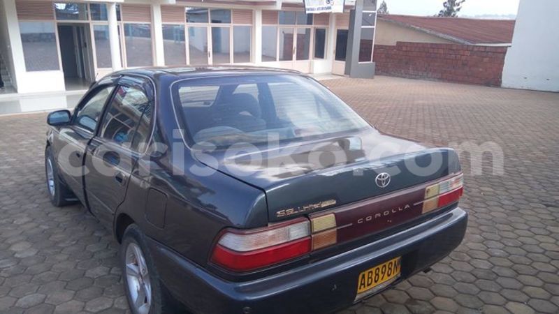 Big with watermark 1