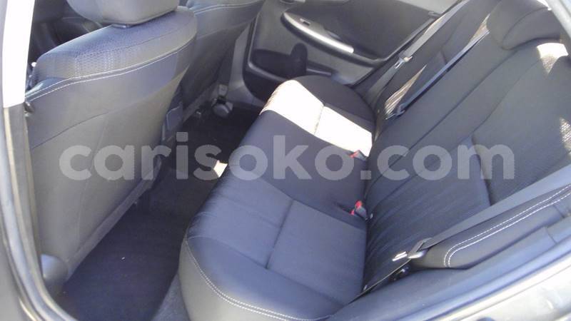 Big with watermark 1367851492