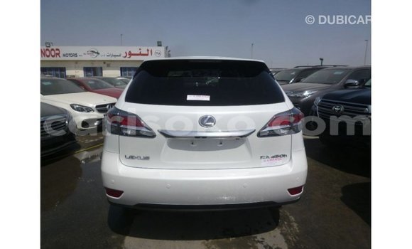اشتري Imported Lexus RX Blanc سيارة في Import - Dubai في Rwanda اشتري Imported Lexus RX Blanc سيارة في Import - Dubai في Rwanda
