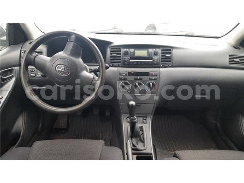 Big with watermark h6