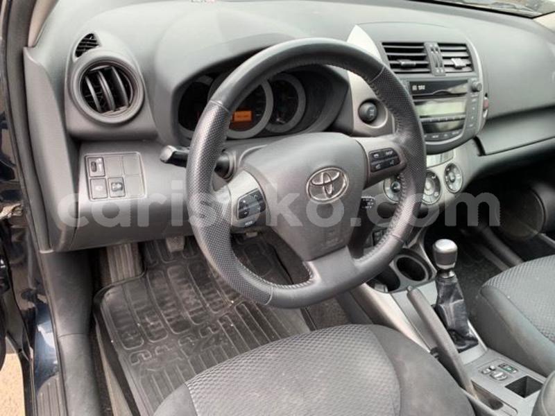 Big with watermark x11