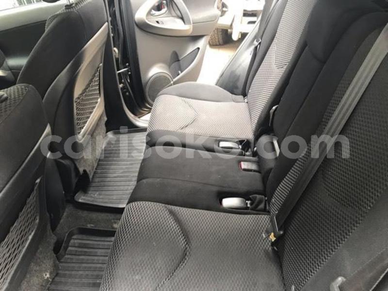 Big with watermark x13