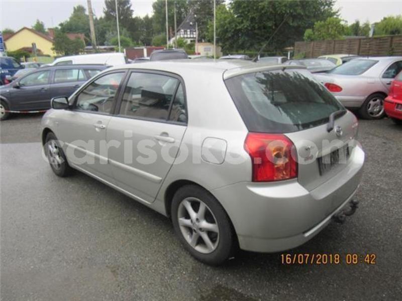 Big with watermark allex6