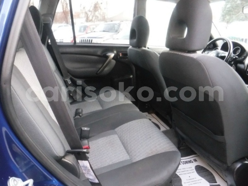 Big with watermark 875423658 12