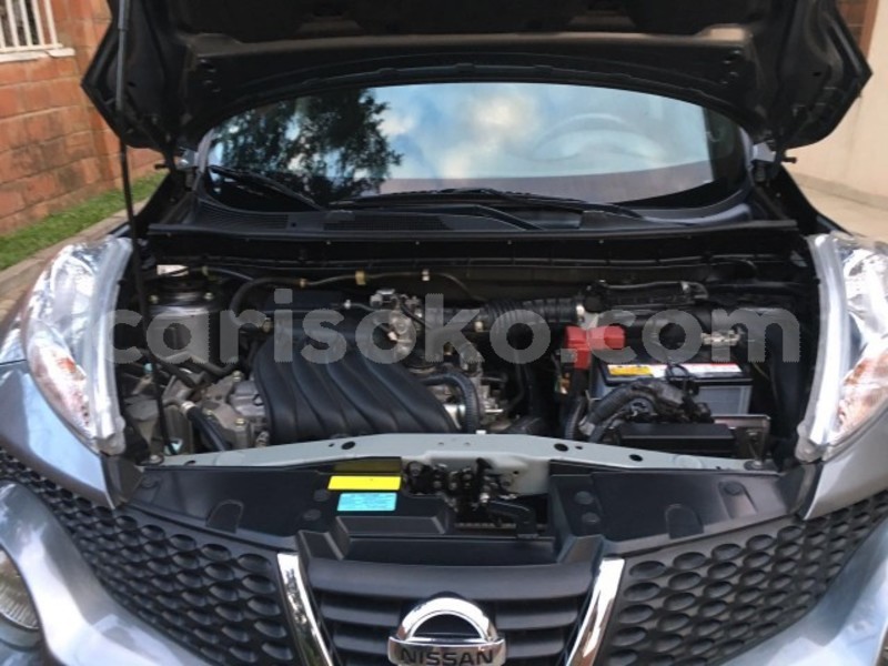 Big with watermark hgabb4