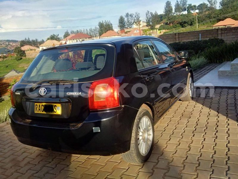 Big with watermark 30629329 194112211393369 244064733525704704 n