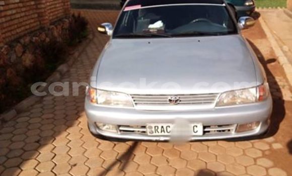 Acheter Occasion Voiture Toyota Corolla Gris à Kigali au Rwanda Acheter Occasion Voiture Toyota Corolla Gris à Kigali au Rwanda