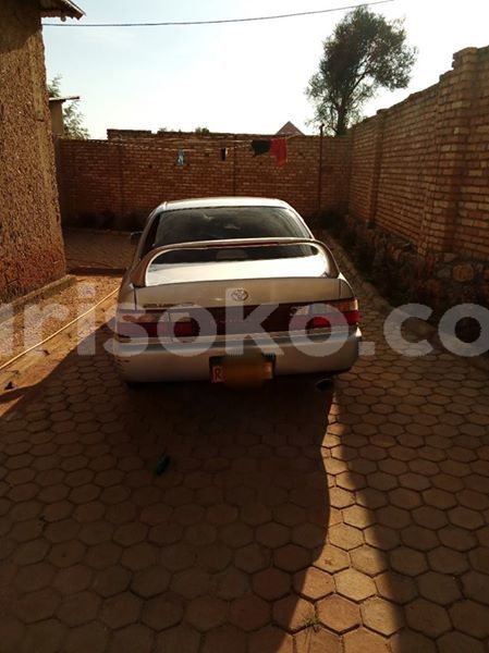 Big with watermark 30629329 194112211393369 244064733525704704 n