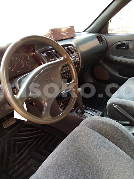 Big with watermark 30705011 1080215435450894 1812932972978896896 n