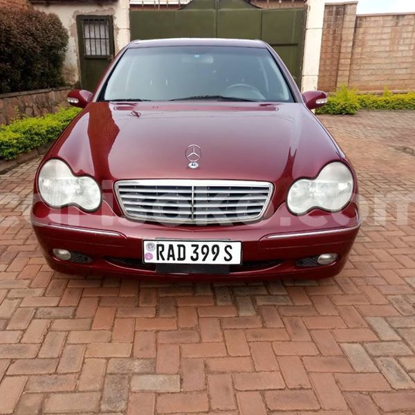 Big with watermark 30623955 578122035882356 6857030771144654848 n