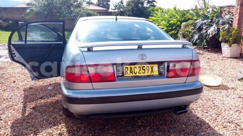 Big with watermark 13138883 10207441343644279 2582726779106760512 n