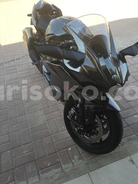 Big with watermark 345645765756