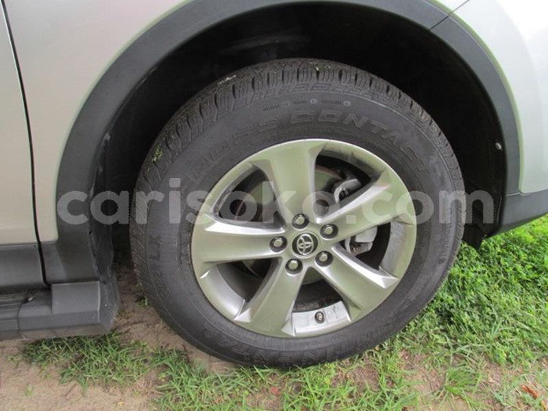 Big with watermark d3