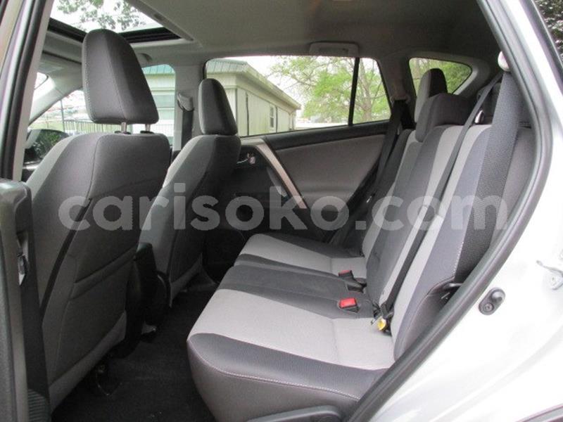 Big with watermark d7