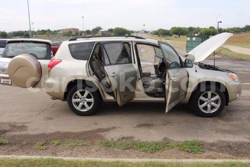 Big with watermark f1