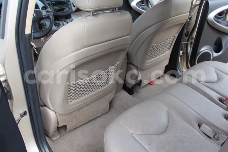 Big with watermark f12