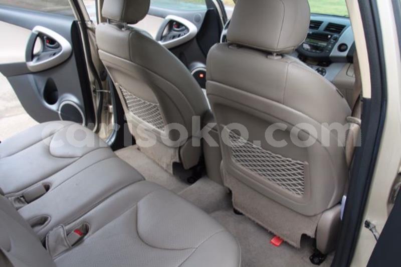 Big with watermark f13