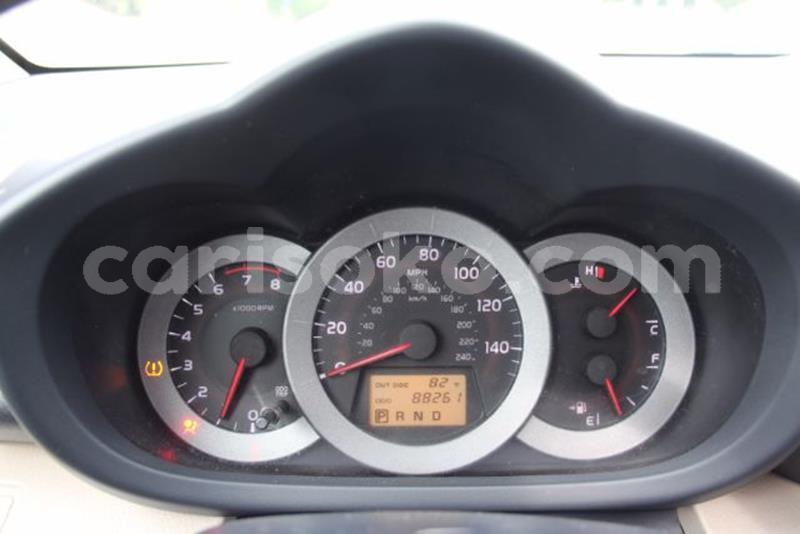 Big with watermark f15