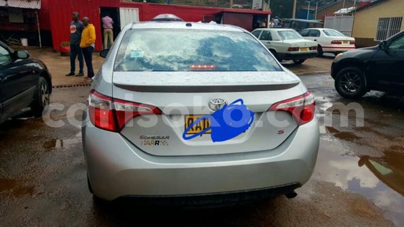 Big with watermark 30623955 578122035882356 6857030771144654848 n