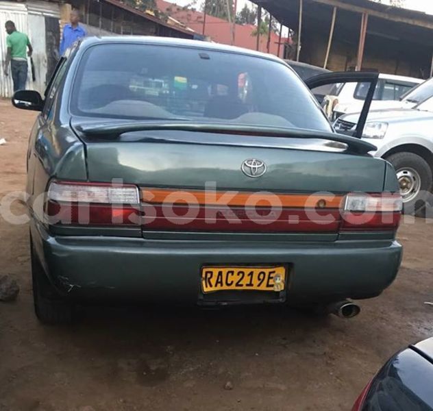 Big with watermark 30705011 1080215435450894 1812932972978896896 n